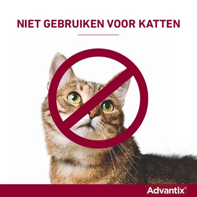 Bayer Elanco Advantix Spot On