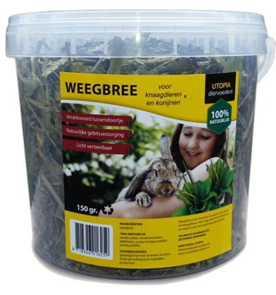 Utopia Weegbree 150 GR - 0031 Shop