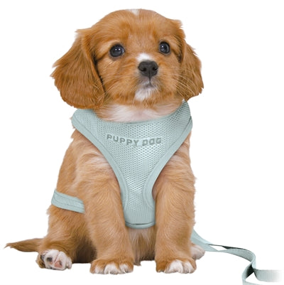 Trixie Hondentuig Junior Puppy Softtuig Met Riem Mintgroen 36-50X1 CM / 2 MTR - 0031 Shop